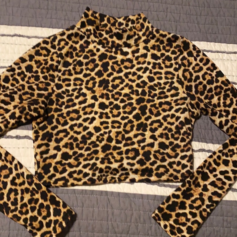 Dolls Kill cheetah crop sweater